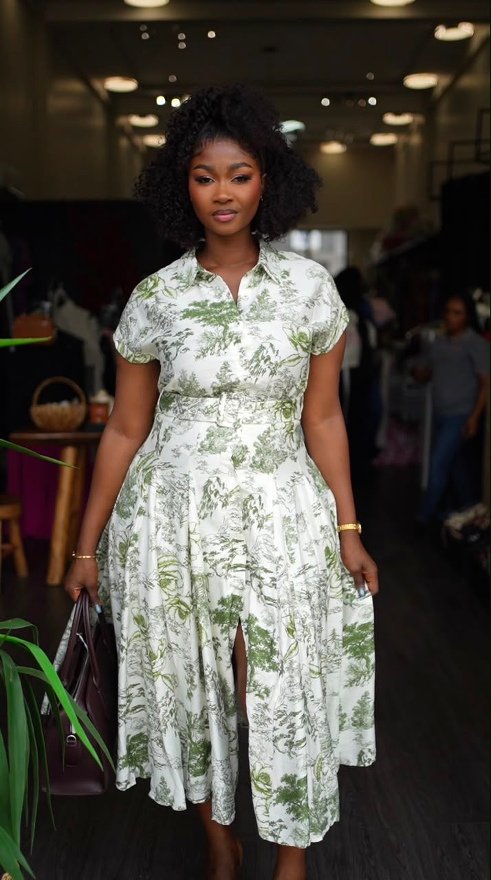 Charvi dress