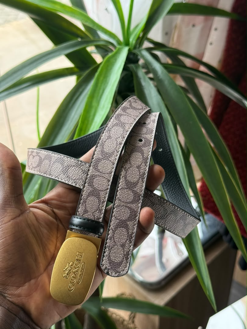 Danna belt