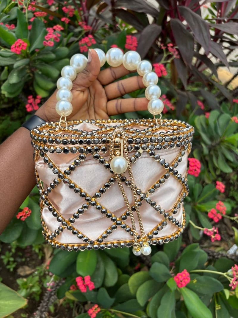 Riya bag 1